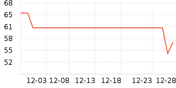 ���Ƕ�����ʿ��Ь��ʷ�۸�