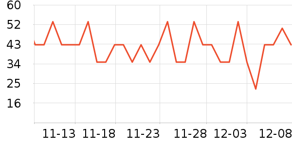WONDER'S QUALITYʷ۸