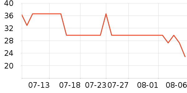׼���˶�T��/POLO����ʷ�۸�