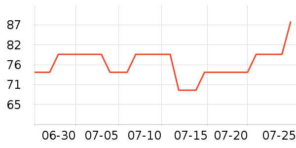 ˹�����˶�T��/POLO����ʷ�۸�